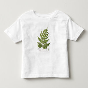 Broad Prickly-toothed Buckler Fern, painted at Bra Toddler T-shirt