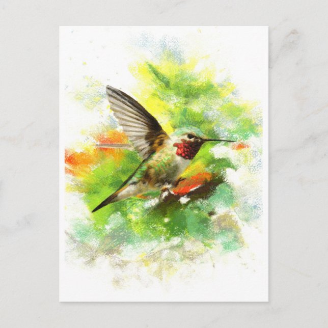 Broad tailed Hummingbird Postcard (Front)