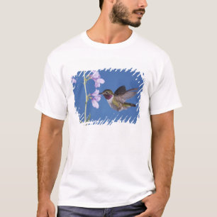 Broad-tailed Hummingbird, Selasphorus T-Shirt