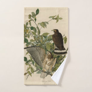Broad-winged Hawk from Audubon's Birds of America Bath Towel Set