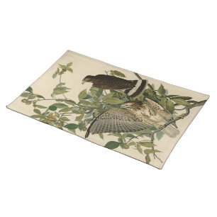 Broad-winged Hawk from Audubon's Birds of America Cloth Placemat
