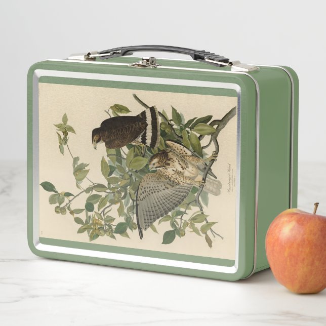 Broad-winged Hawk from Audubon's Birds of America Metal Lunch Box (In Situ)