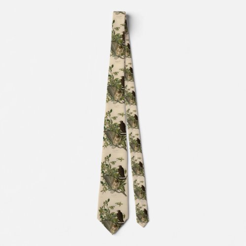 Broad_winged Hawk from Audubons Birds of America Neck Tie