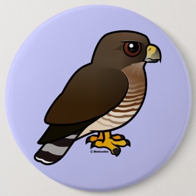 Broad-winged Hawk Pinback Button