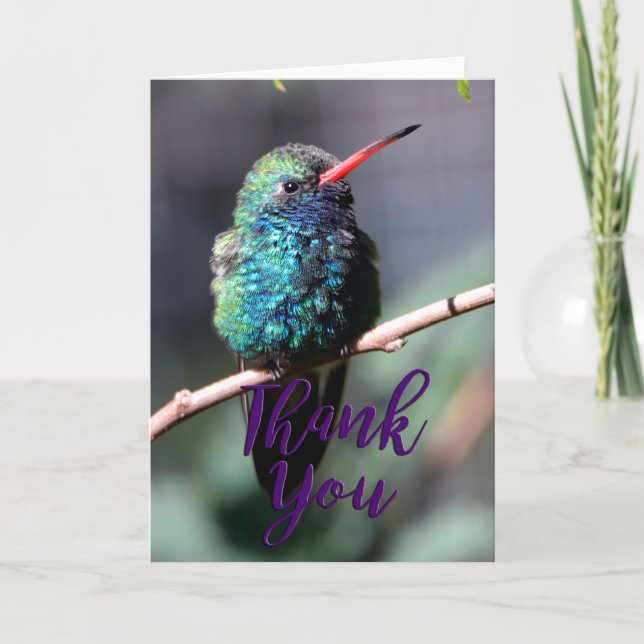 Broadbilled Hummingbird Photo Thank You Card (Front)