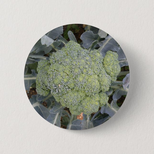 Broccoli Button (Front)