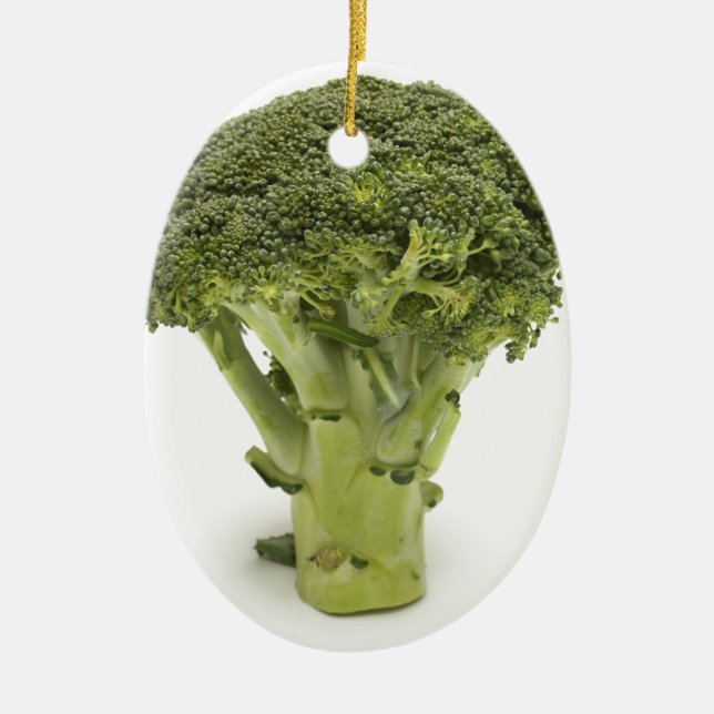 Broccoli Ceramic Ornament (Front)