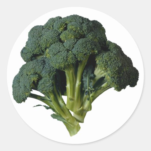 Broccoli Classic Round Sticker