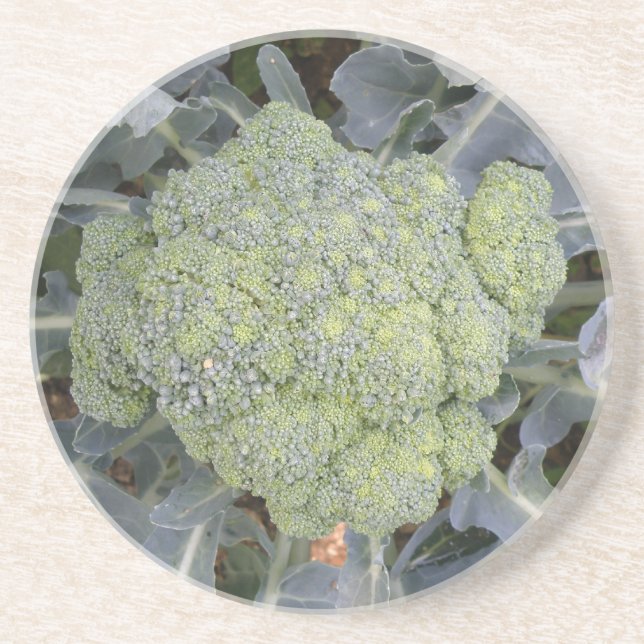 Broccoli Coasters (Front)