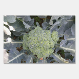 Broccoli Decorative Sign