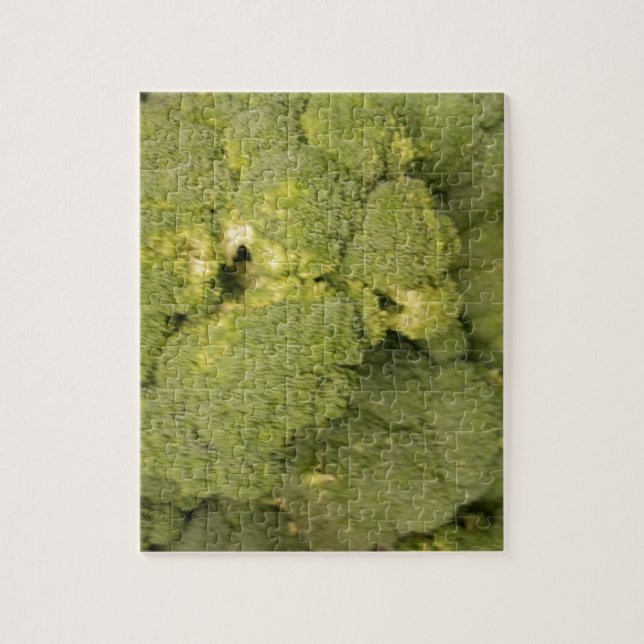 Broccoli Jigsaw Puzzle (Vertical)