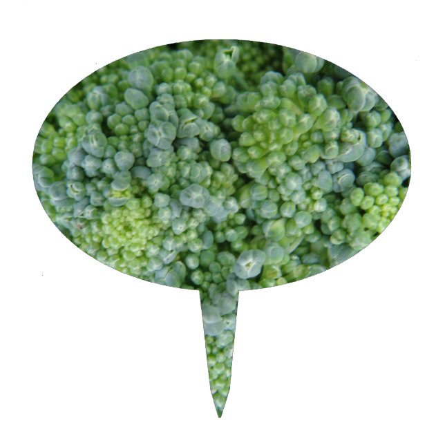 Broccoli Macro Cake Pick (Front)
