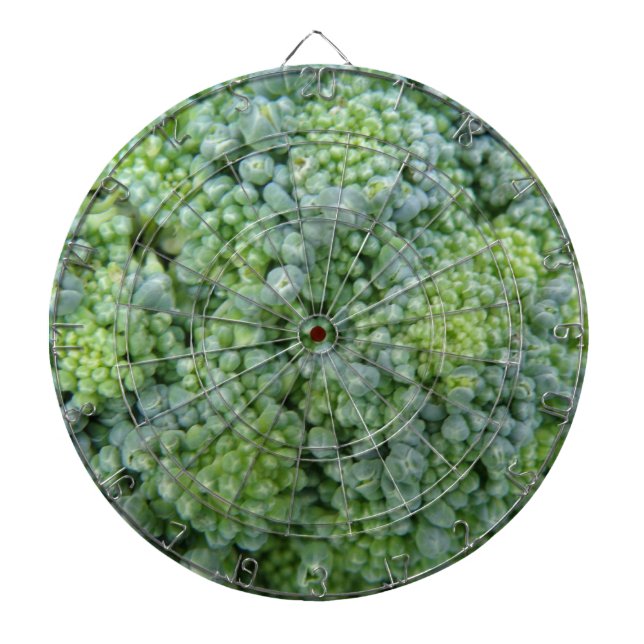 Broccoli Macro Dart Board (Front)