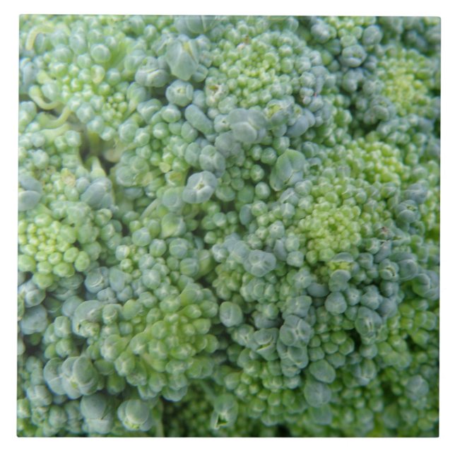 Broccoli Macro Tile (Front)