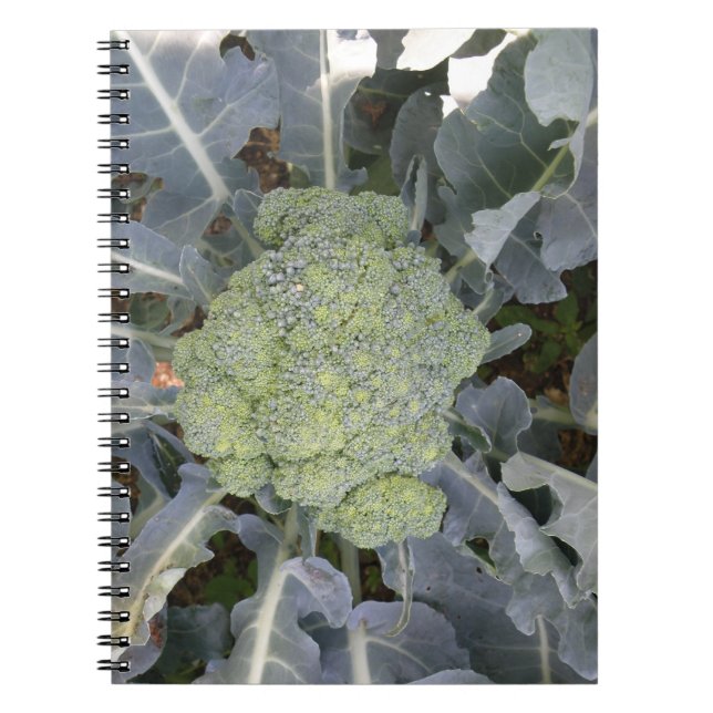 Broccoli Notebook (Front)