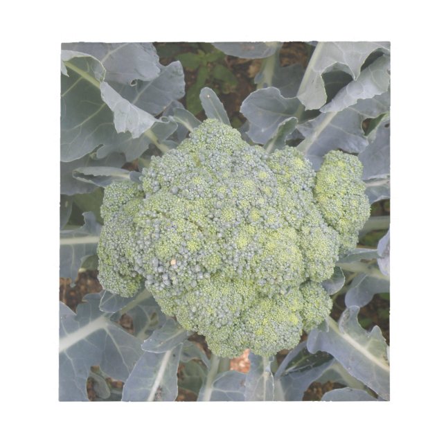 Broccoli Notepad (Front)