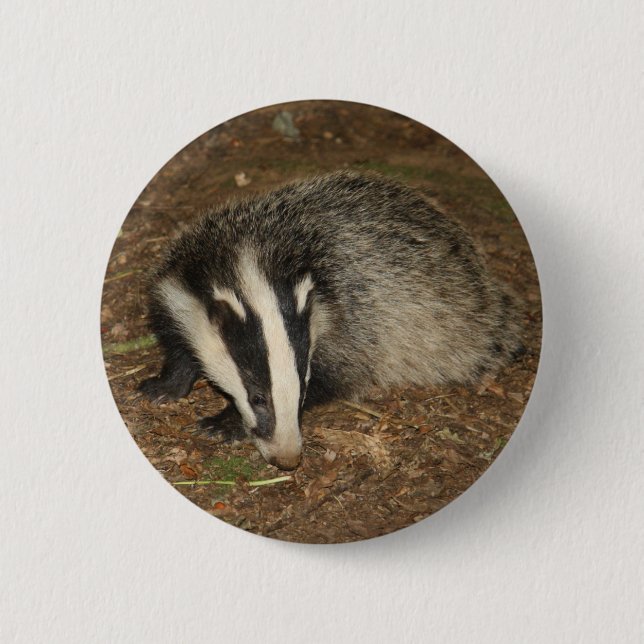 Brockwatch badger badge button (Front)