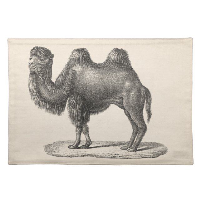 Brodtmann Camel Sketch Cloth Placemat (Front)