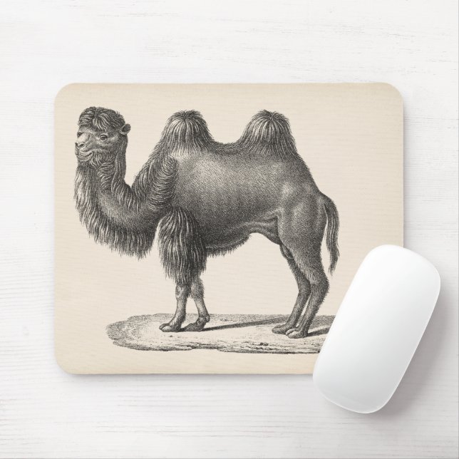 Brodtmann Camel Sketch Mouse Pad (With Mouse)