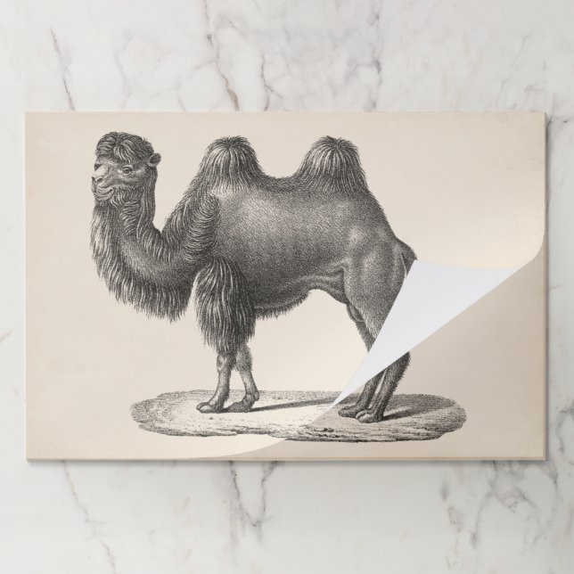 Brodtmann Camel Sketch Paper Pad (Folded)