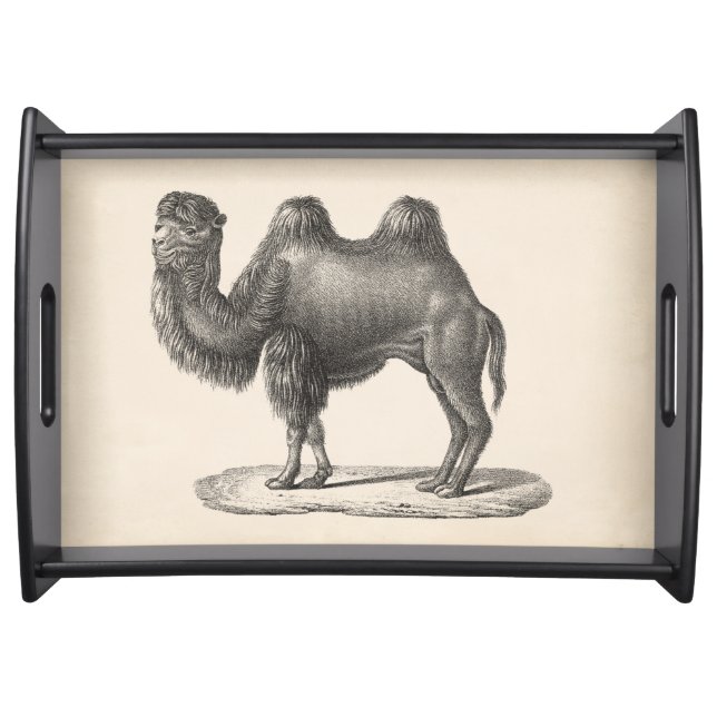 Brodtmann Camel Sketch Serving Tray (Front)