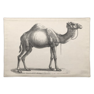Brodtmann Dromedary Camel Sketch Cloth Placemat