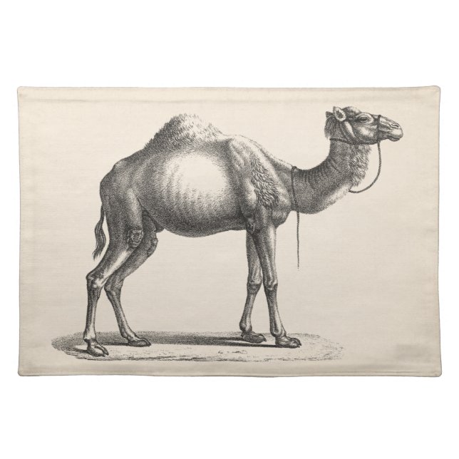 Brodtmann Dromedary Camel Sketch Cloth Placemat (Front)