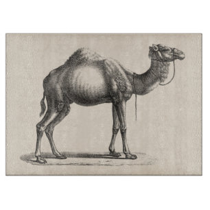 Brodtmann Dromedary Camel Sketch Cutting Board