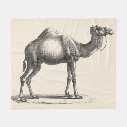 Brodtmann Dromedary Camel Sketch Fleece Blanket