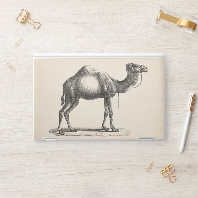 Brodtmann Dromedary Camel Sketch HP Laptop Skin (Desk)