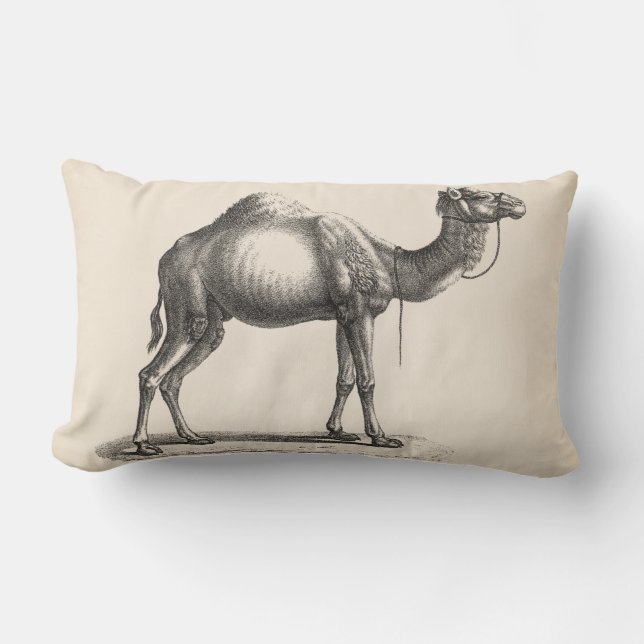 Brodtmann Dromedary Camel Sketch Lumbar Pillow (Front)