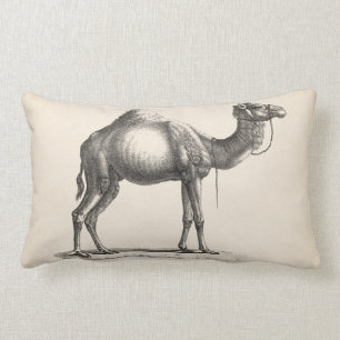 Brodtmann Dromedary Camel Sketch Lumbar Pillow