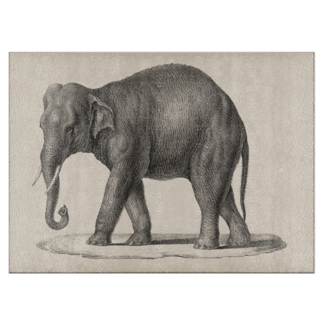 Brodtmann Elephant Sketch Cutting Board (Front)