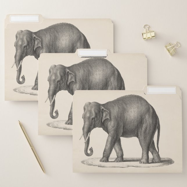 Brodtmann Elephant Sketch File Folder (Set)