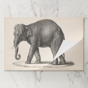 Brodtmann Elephant Sketch Paper Pad