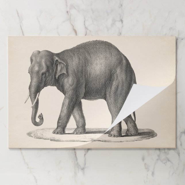 Brodtmann Elephant Sketch Paper Pad (Folded)