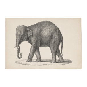 Brodtmann Elephant Sketch Placemat