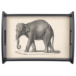 Brodtmann Elephant Sketch Serving Tray