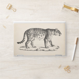 Brodtmann Leopard Sketch HP Laptop Skin