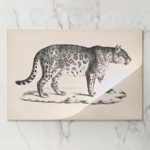 Brodtmann Leopard Sketch Paper Pad