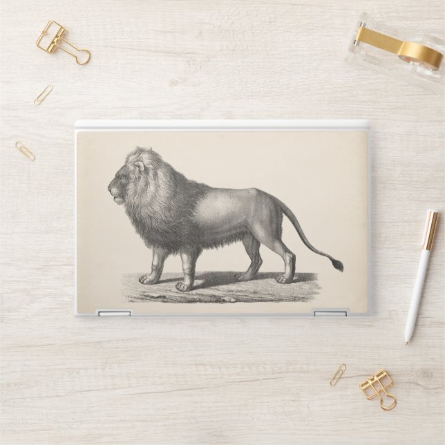 Brodtmann Lion Sketch HP Laptop Skin (Desk)