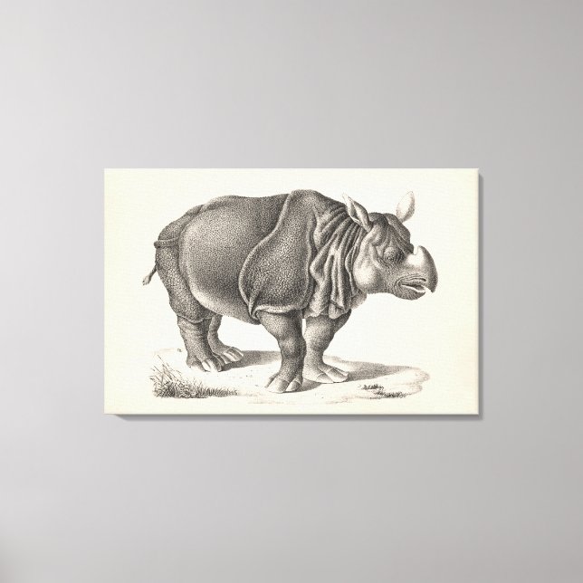 Brodtmann Rhinoceros Sketch Canvas Print (Front)