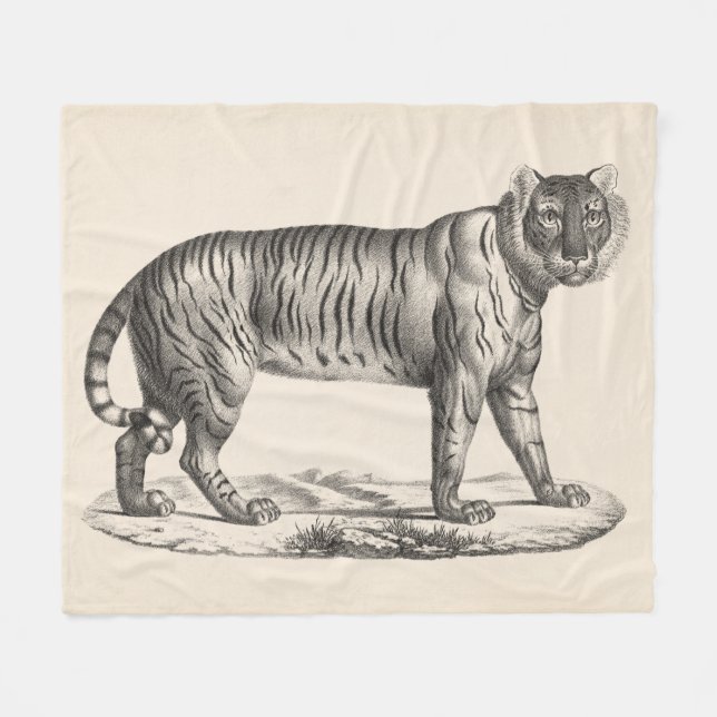 Brodtmann Tiger Sketch Fleece Blanket (Front (Horizontal))