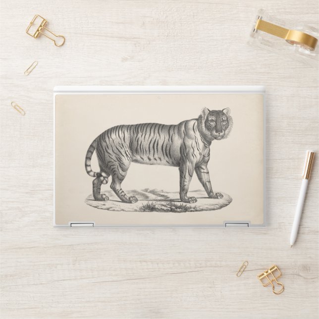 Brodtmann Tiger Sketch HP Laptop Skin (Desk)