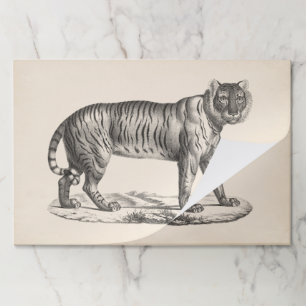 Brodtmann Tiger Sketch Paper Pad