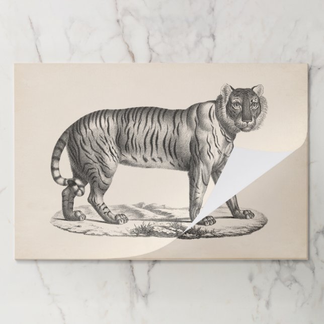 Brodtmann Tiger Sketch Paper Pad (Folded)
