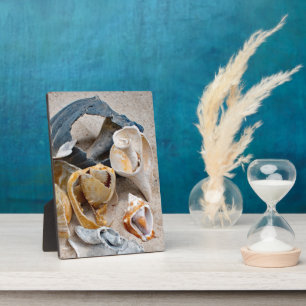 Broken Beach Beauties Plaque