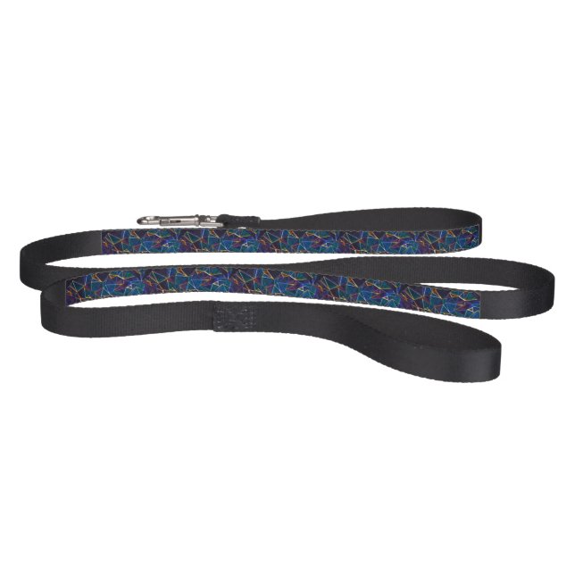 Broken Bubbles  Pet Leash (Full)
