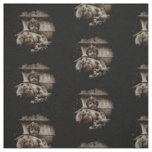Broken Cherub Fabric