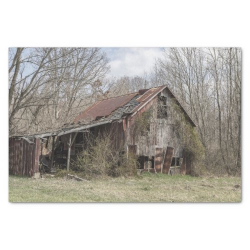 Broken Down Barn Amidst Bare Trees and Scrub Bush Tissue Paper